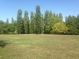 Quartiere Zaist, Parco Asia ancora più attrattivo e fruibile