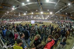 In Fiera tornano i cavalli: Reining Futurity & Country Christmas da venerdì 17 a domenica 19