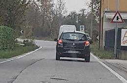 Scarica il cane dall'auto e lo abbandona in strada
