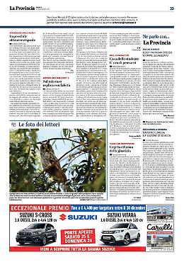 Spazio Aperto (2)