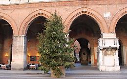 Il primo dicembre  si accendono le luci del grande albero di Natale in piazza del Comune