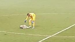 Europa League, invasione di campo inaspettata: l'husky vuole giocare con il portiere