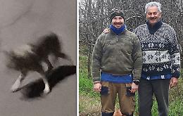 "Per noi era un bellissimo lupo, fotografato da pochi metri"