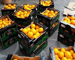 816 kg di Solidarietà contro la mafia!
