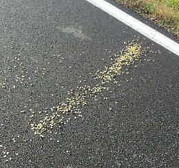 Puntine gettate sull'asfalto, biciclette bucate