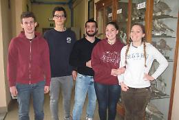 Alternanza scuola-lavoro, in Irlanda a fare gli agricoltori