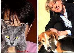 La lirica dà voce ai cani e gatti bisognosi
