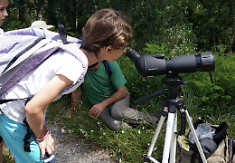 Tra natura e cinema: in vacanza all'oasi 'Le Bine'