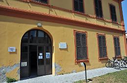Ritorna l’incubo: «Siamo  invasi dagli scarafaggi»