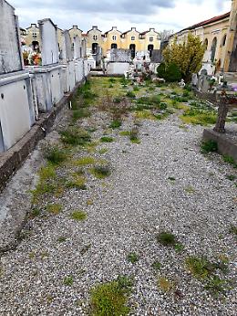 GALLERY - La denuncia: 'Degrado al cimitero di Vicobellignano'