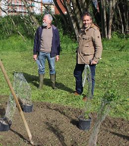 Prende forma il “Giardino delle Farfalle”