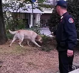 Controlli antidroga al Polo Romani e all'istituto Santa Chiara