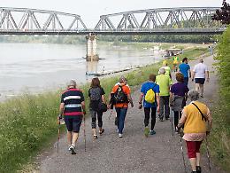 'Run for Parkinson', settima edizione riuscita