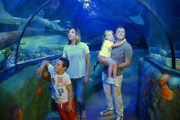 Gardaland Sea Life Aquarium, primo in Italia di 50 nel mondo
