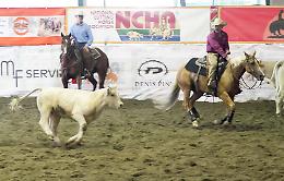 Cavallo americano, in Fiera un'edizione da record