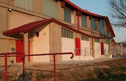 Palestra Cambonino, Sassano (volley Esperia): "Situazione disastrosa"