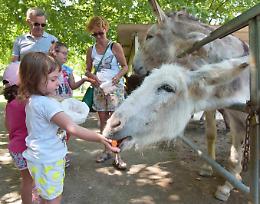 Centro Natura Amica in festa con il ‘Baby Asino Day’
