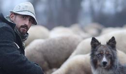 Il pastore: vita dura ma libera