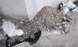 Ferroni: «Attentato col sale all'ippocastano»
