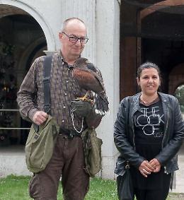 Il ‘bird control’ funziona: già 300 piccioni in meno 