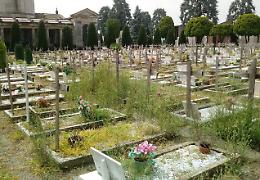 Degrado e incuria tra erba alta e allagamenti 
