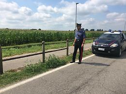 Danneggiano la staccionata della ciclabile,  denunciati