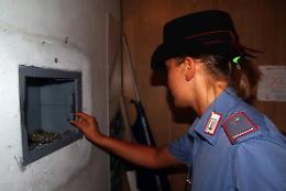 Furti, offensiva d'estate: cinque incursioni in poche ore