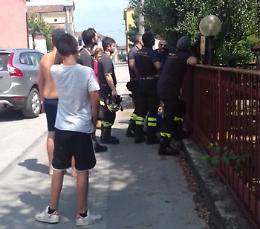 Gattino intrappolato su una palma, salvo: applausi ai pompieri