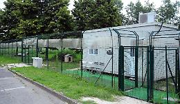 E’ piena emergenza, ma  il gattile è costretto a chiudere