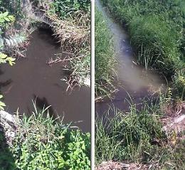 La denuncia: 'Acque nere nella zona del depuratore'

