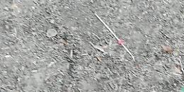 Siringhe nel parco dei bimbi, timore e apprensione