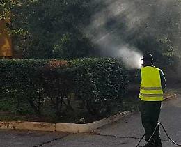 Febbre del Nilo per un settantenne