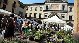 'Invasioni Botaniche' nelle vie del passeggio