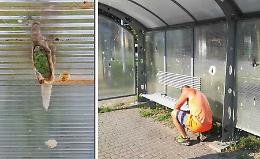 Pensiline dei bus vandalizzate, il sindaco sporge denuncia