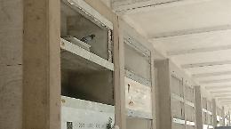 Cimitero maggiore, loculi aperti. Così i piccioni trovano casa