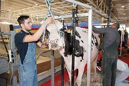Fiere zootecniche internazionali a Cremona dal 24 al 27 ottobre
