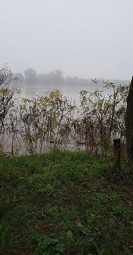 FOTO La piena del Po tra il 2 e il 3 novembre all'Antenna
