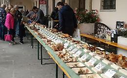 Mostra micologica, folla in piazza Duomo