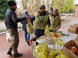 Solidarietà, la colletta alimentare fa centro