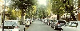 Frenata sul taglio degli alberi