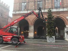 Albero di Natale in piazza, ed è già polemica
