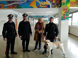 Carabinieri nei night e nelle scuole con i cani antidroga