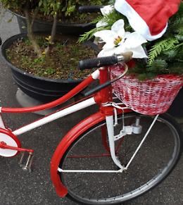Vandalismi, bici della Pro Loco prese a calci e buttate a terra