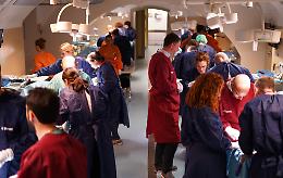 Boom di  veterinari: «Ma senza aiuti via da qui»

