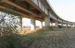Ponte Verdi, in tredici giorni oltre 1.400 multe