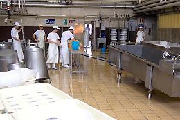 Non solo formaggio, ora anche il gelato della Casearia