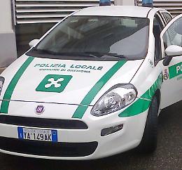 Anziana e malata vive  con 40 cani: lei all'ospedale e gli animali soccorsi