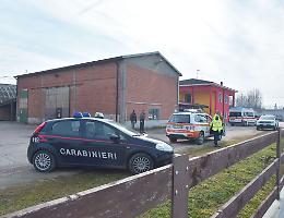 Scalciato dal toro, paura per un allevatore di Brugnolo