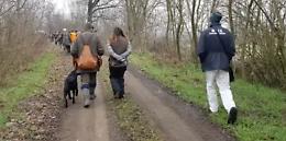 Isola Serafini, blitz degli animalisti ferma i cacciatori

