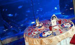 San Valentino a Gardaland SEA LIFE Aquarium